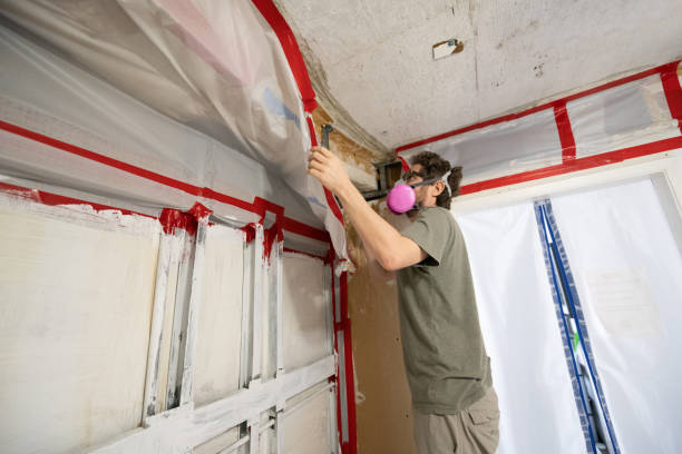 Best Water Damage & Mold Remediation  in Hudson, NC