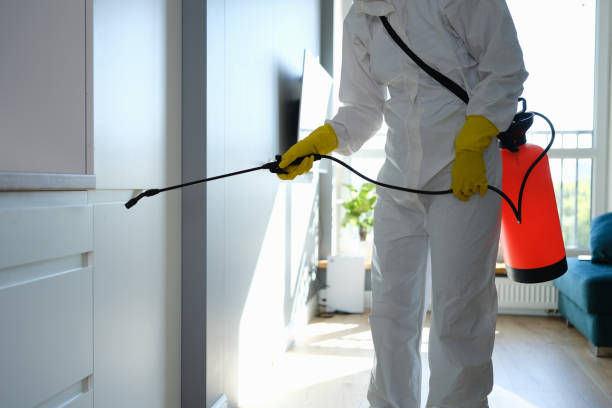 Best Environmental Consulting for Mold Prevention  in Hudson, NC