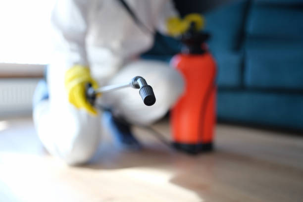 Best Residential Mold Inspection & Testing  in Hudson, NC