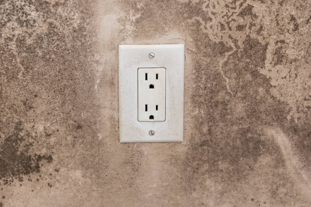 Best Asbestos and Lead Testing During Mold Inspection  in Hudson, NC