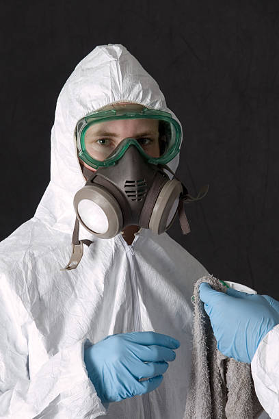  Hudson, NC Mold Removal Pros